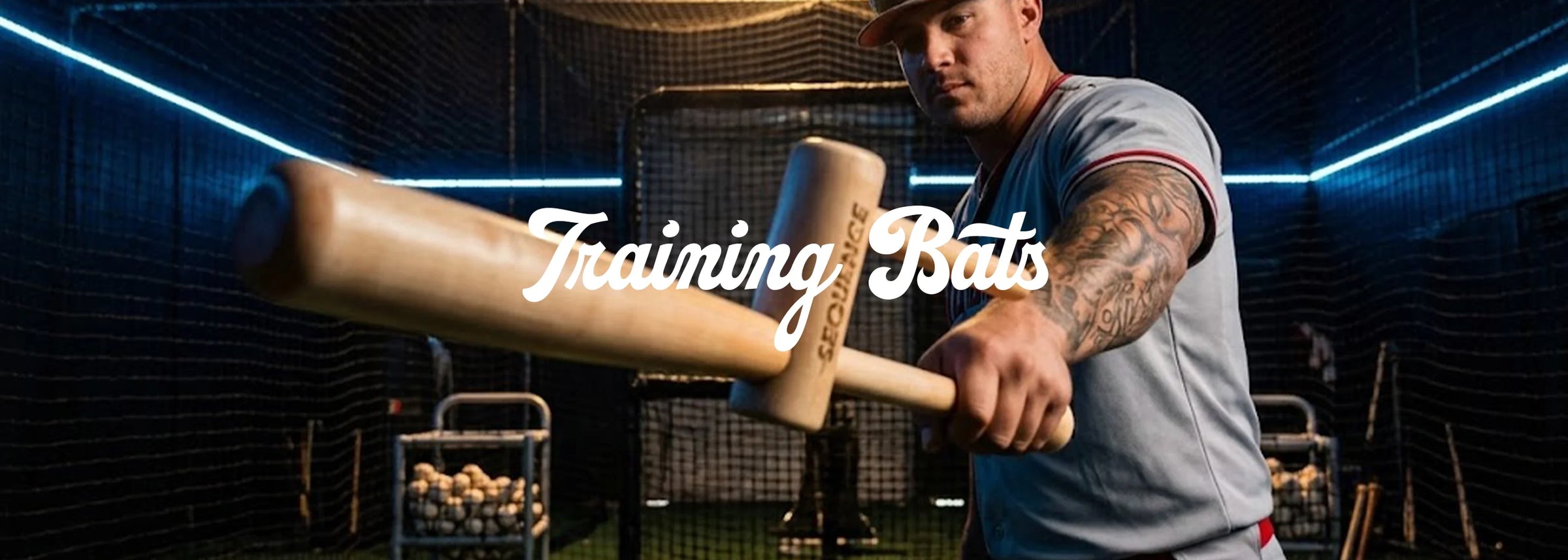 TRAINING BATS