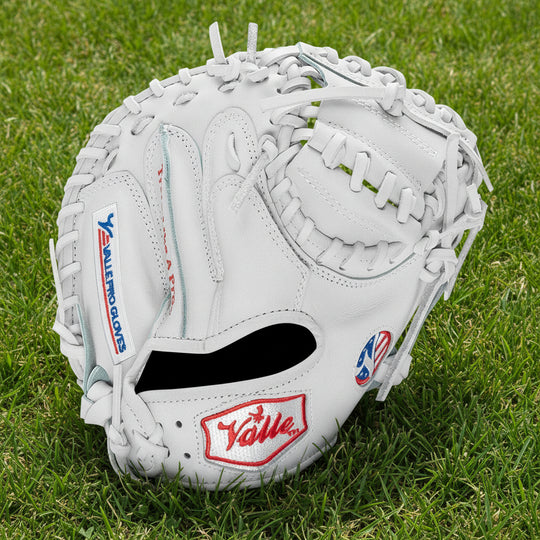 Baseball Catchers training mitt in grass