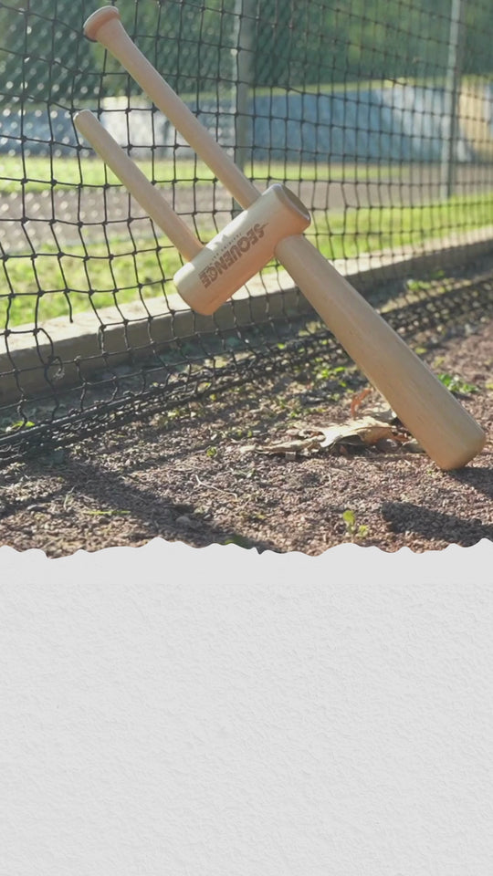The Sequence Training Bat for Baseball and Softball
