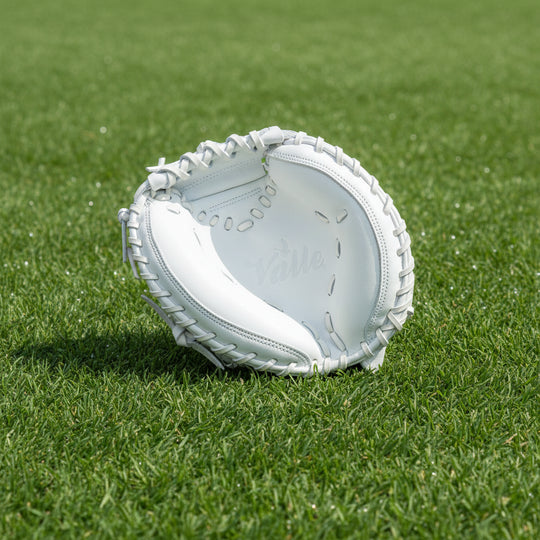 catchers training mitt on grass