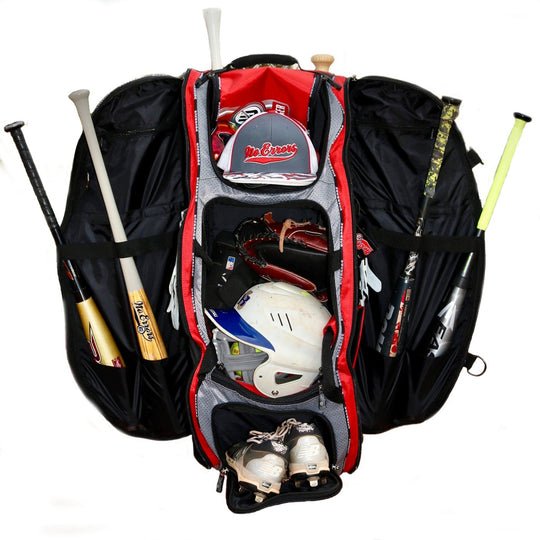 the dinger; baseball bat bag